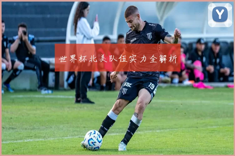 世界杯北美队伍实力全解析