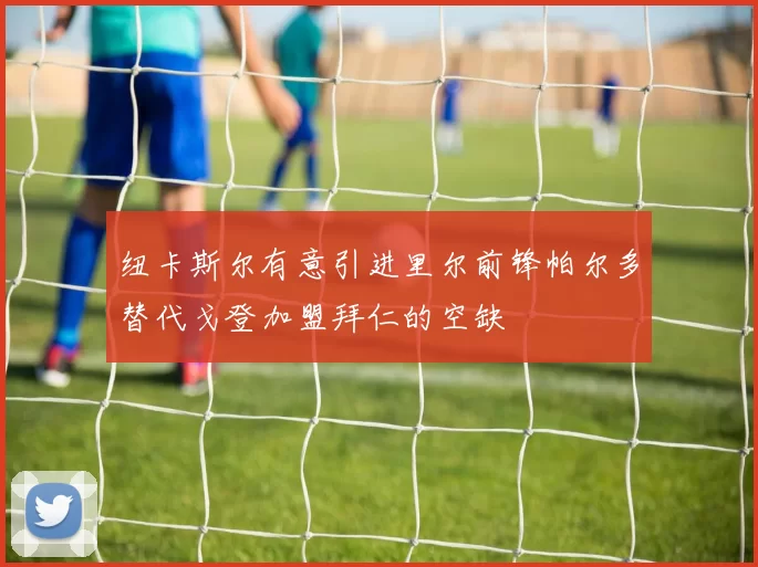 纽卡斯尔有意引进里尔前锋帕尔多替代戈登加盟拜仁的空缺