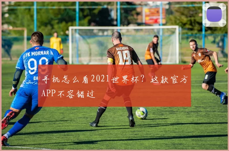 手机怎么看2021世界杯?这款官方APP不容错过