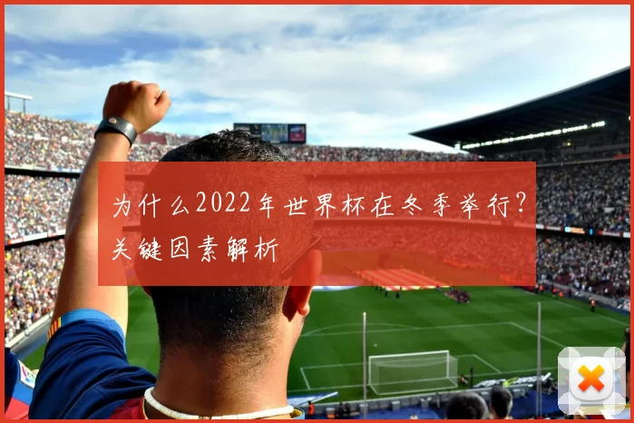 为什么2022年世界杯在冬季举行?关键因素解析