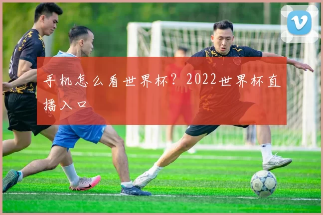 手机怎么看世界杯？2022世界杯直播入口