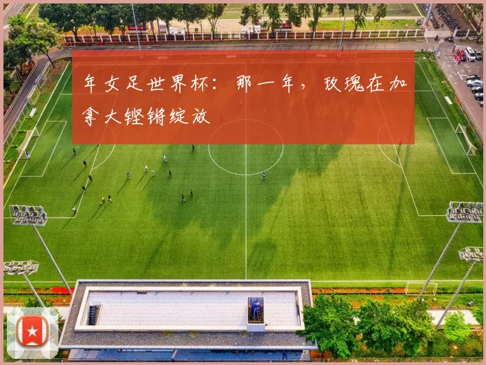 年女足世界杯：那一年，玫瑰在加拿大铿锵绽放