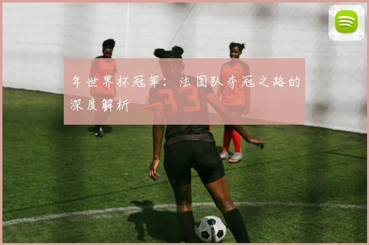 年世界杯冠军:法国队夺冠之路的深度解析