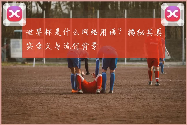 世界杯是什么网络用语？揭秘其真实含义与流行背景