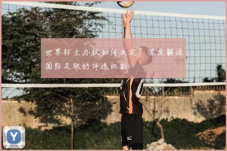 世界杯主办权如何决定？深度解读国际足联的评选机制