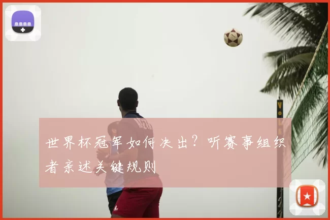 世界杯冠军如何决出？听赛事组织者亲述关键规则
