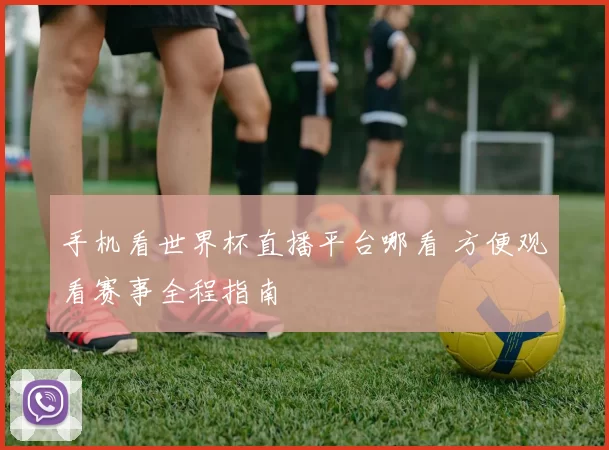手机看世界杯直播平台哪看 方便观看赛事全程指南
