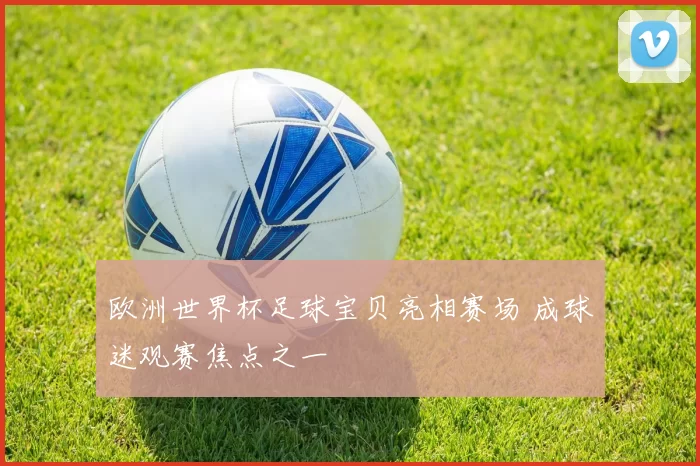 欧洲世界杯足球宝贝亮相赛场 成球迷观赛焦点之一