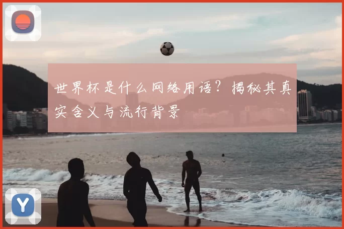世界杯是什么网络用语？揭秘其真实含义与流行背景